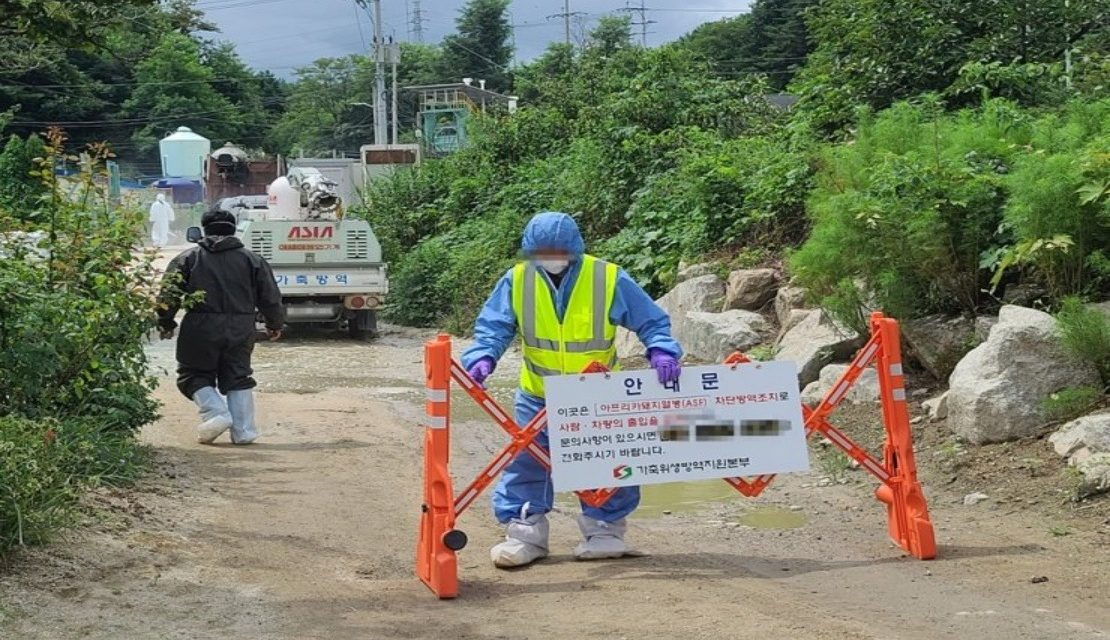 https://www.southerncrescent.com.my/wp-content/uploads/2021/08/S.-KOREA-REPORTS-ADDITIONAL-AFRICAN-SWINE-FEVER-CASE-SOUTHERN-CRESCENT-SDN-BHD-NEGERI-SEMBILAN-WHATSAPP-0199199334-1110x640.jpg